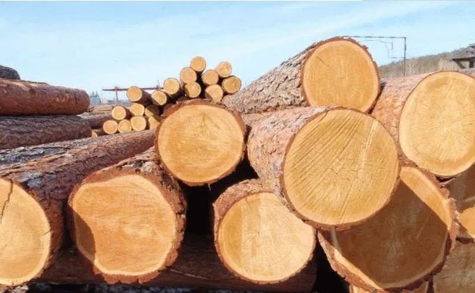 木材涨价 木材涨价